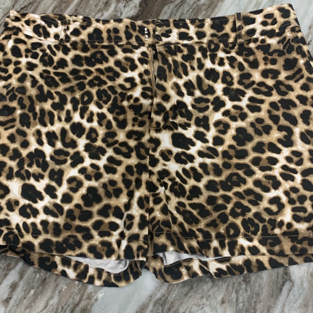 New York and company size 16 cheetah print shorts